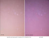 Optolong Clear Sky Filter - 82mm Round Mounted - CS-82